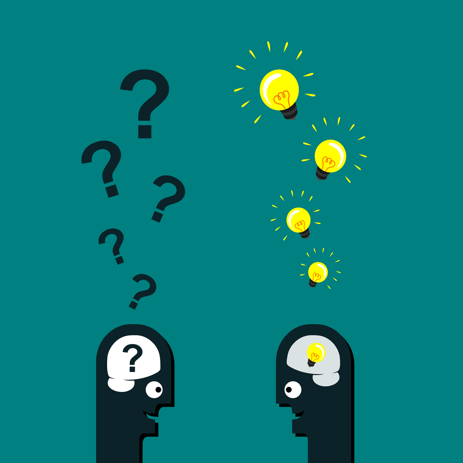 The Arena Animation Experience: Where Creativity Becomes Business